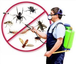 Trusted Pest Control Services